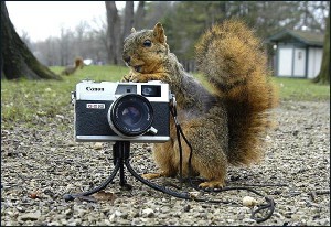 See, it\'s a game camera, right?